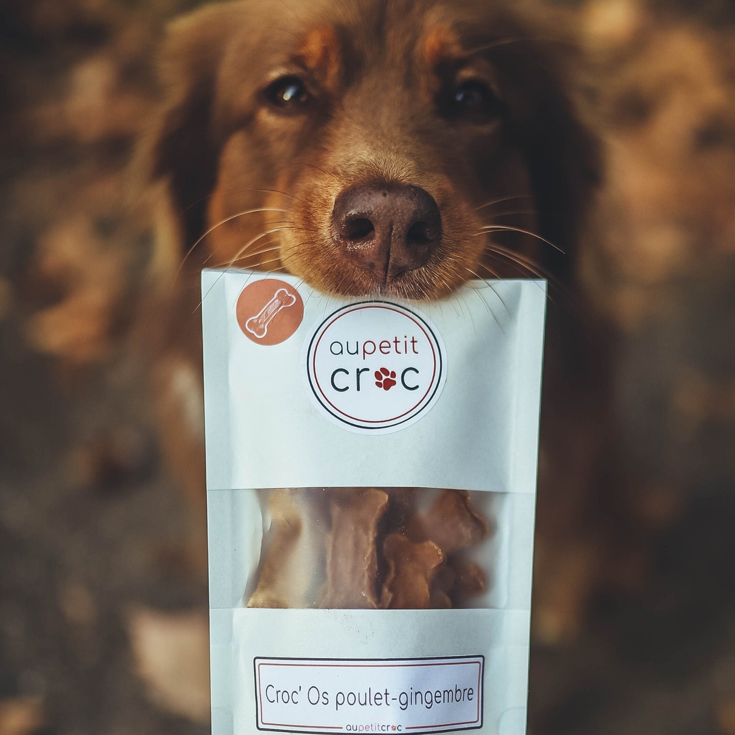Croc'os Poulet-Gingembre