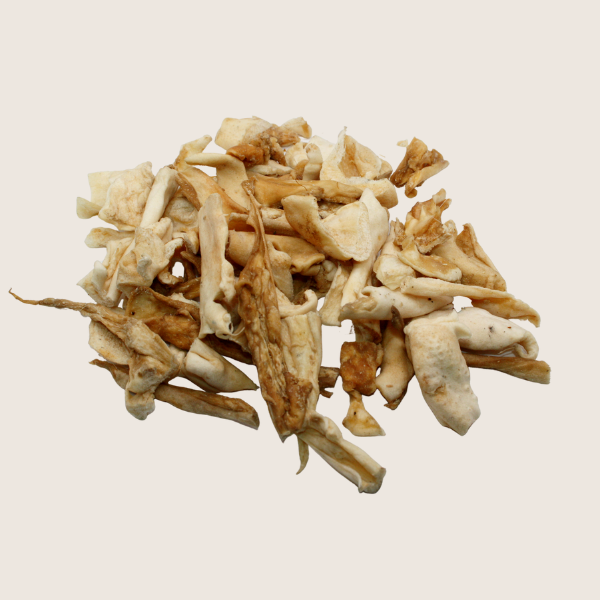 Les p'tits bouts - Antigaspi