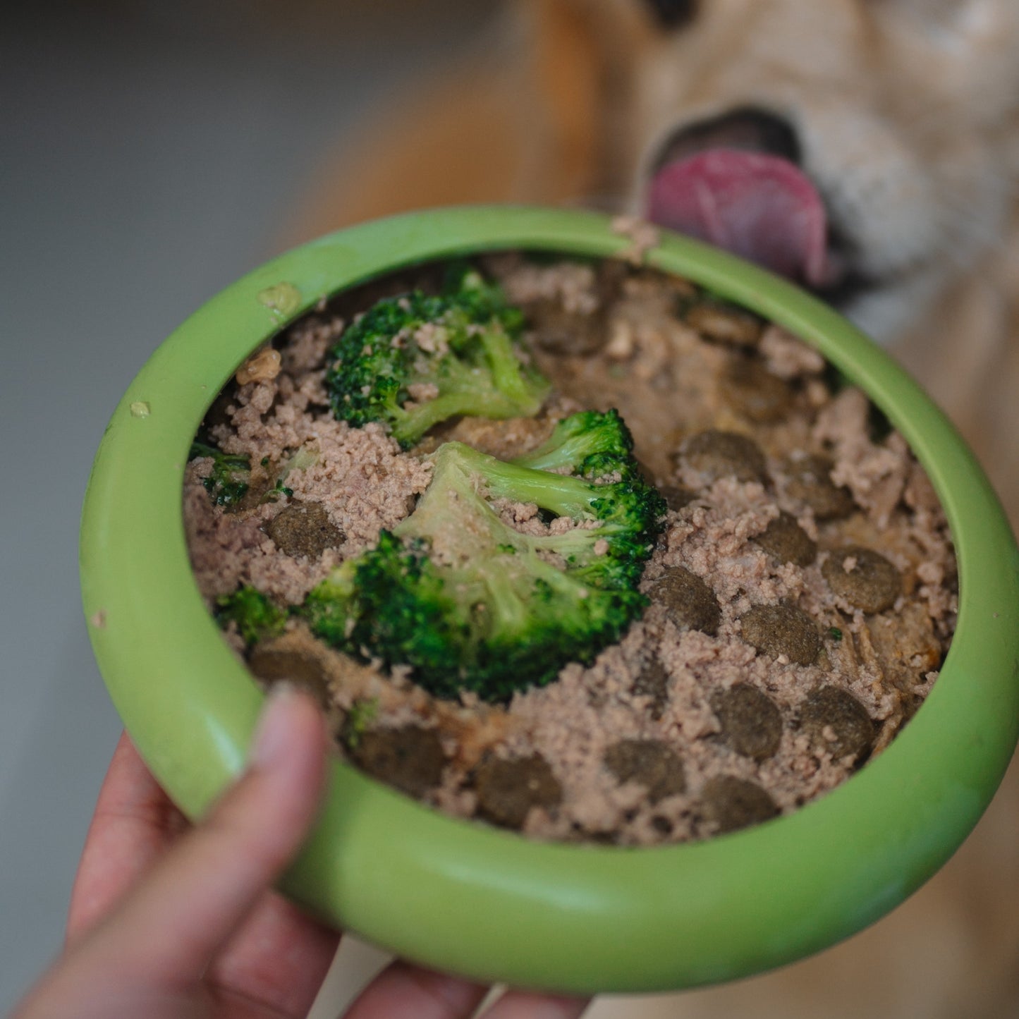 LickiMat UFO
