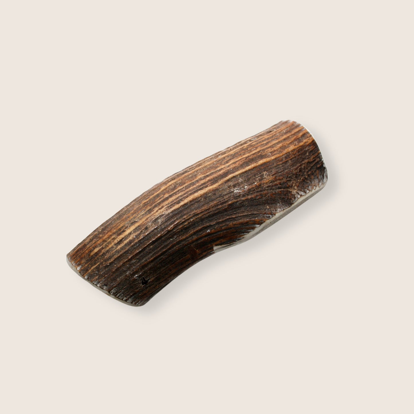 Bois de cerf entier