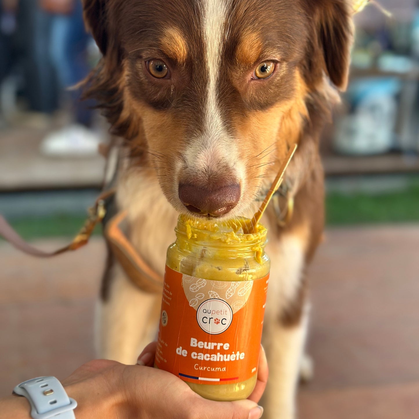 Beurre de cacahuète Curcuma