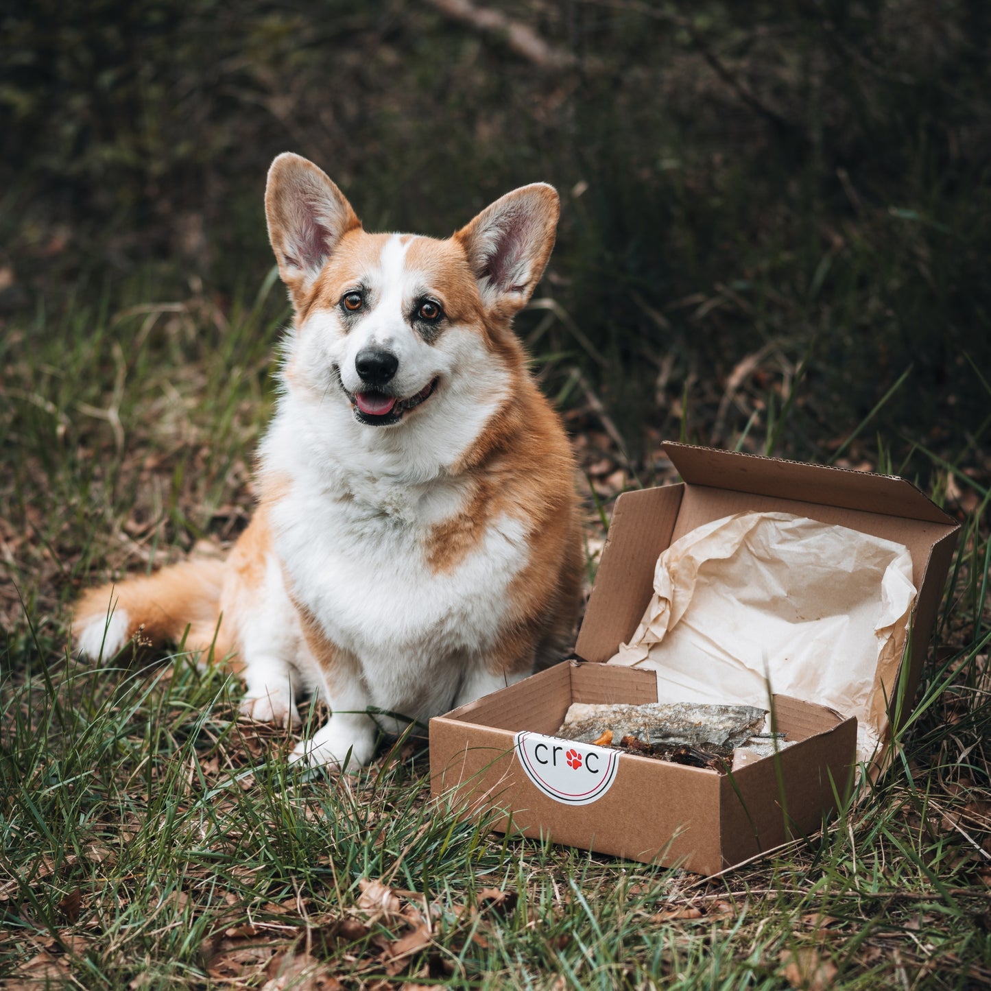 Box à mâcher
