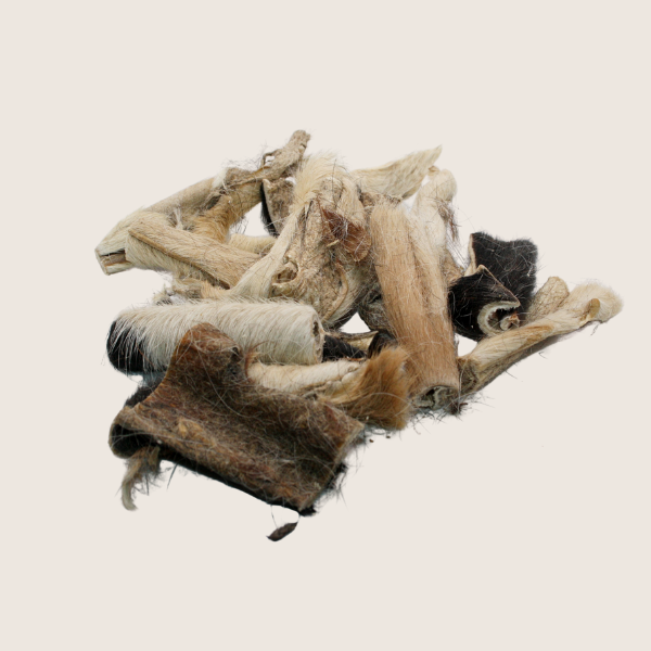 Les p'tits bouts - Antigaspi