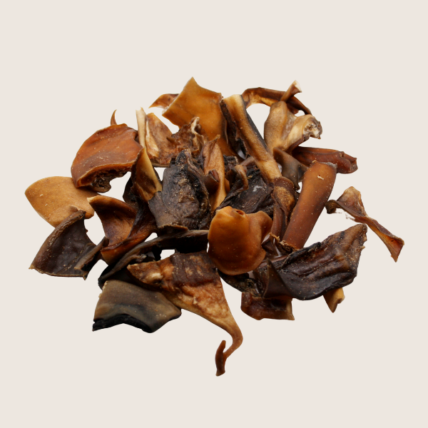 Les p'tits bouts - Antigaspi