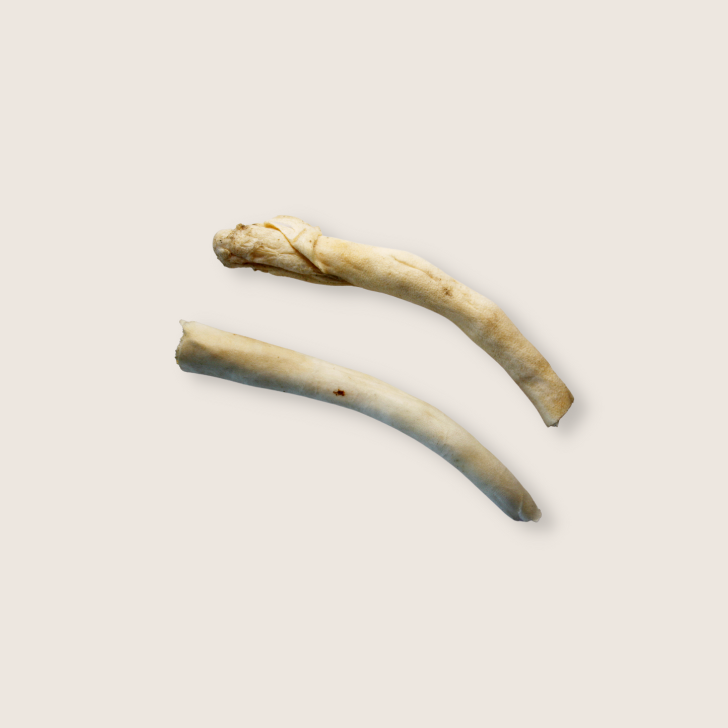 Queue de bœuf