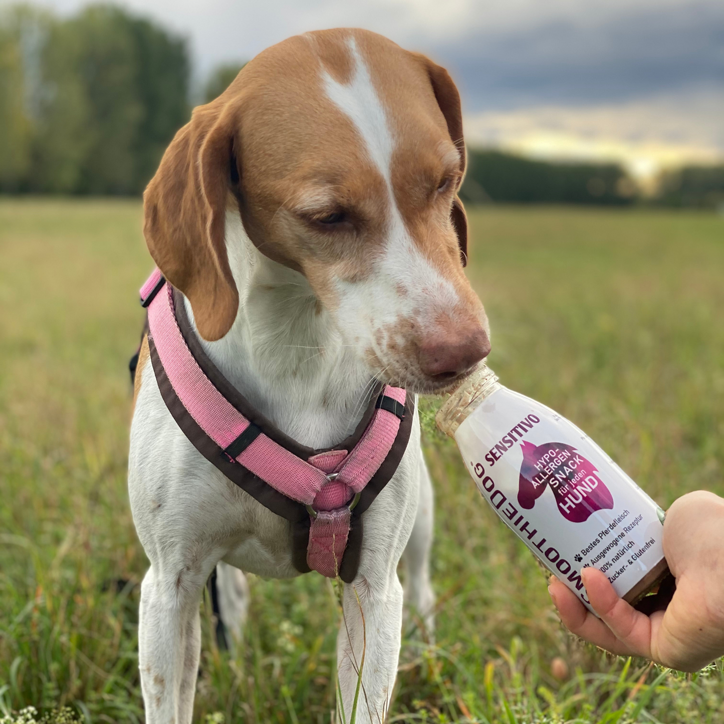 Smoothie sensitivo - Hypoallergénique