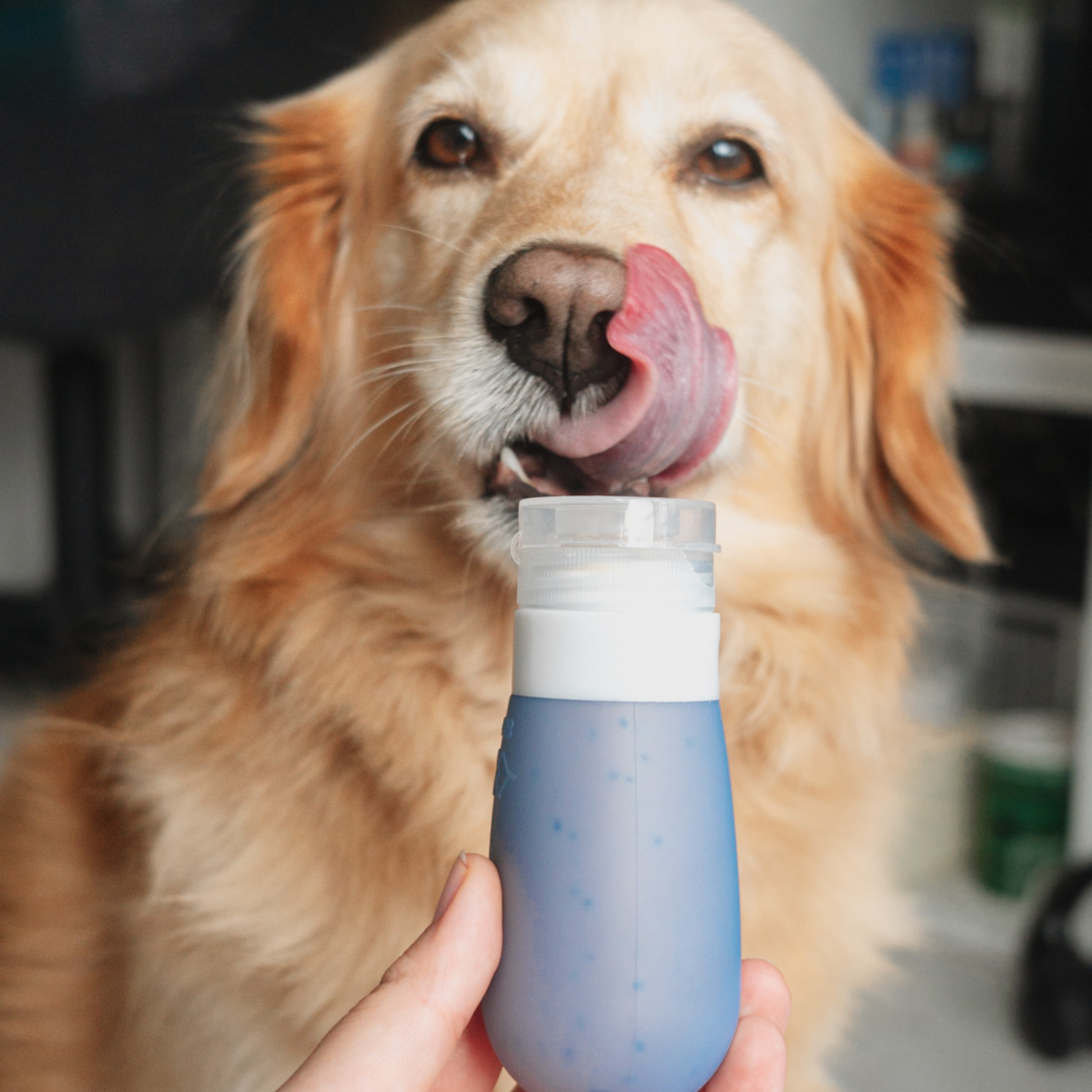 Poochbutter Pal - distributeur rechargeable