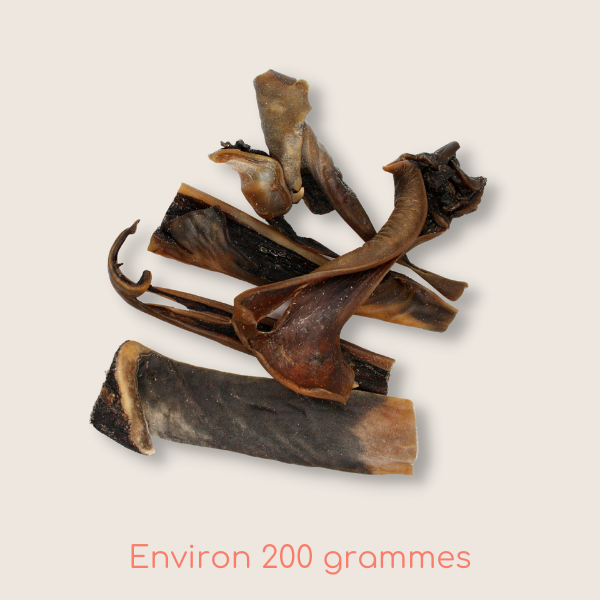 Cuir chevelu de chameau