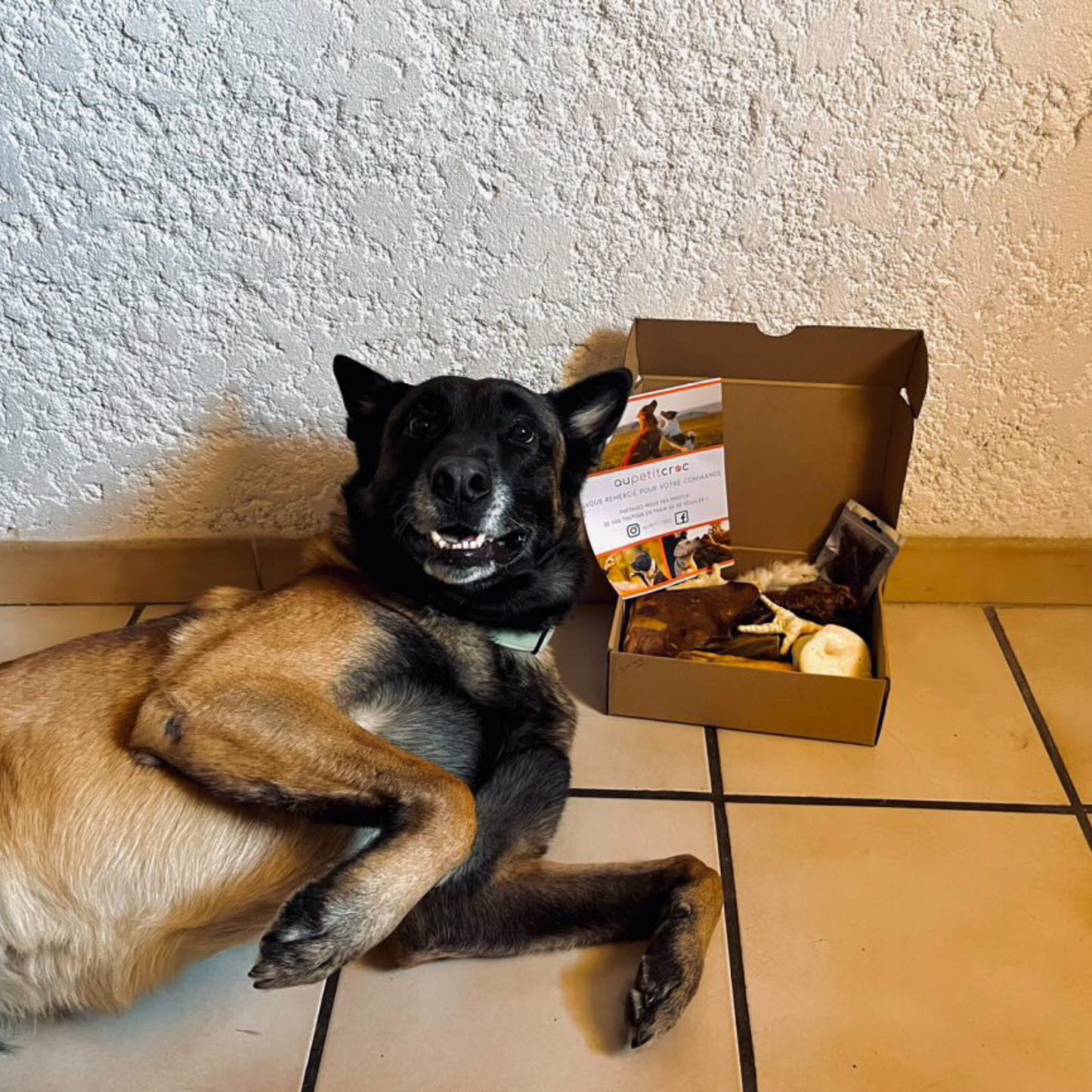 Box à mâcher