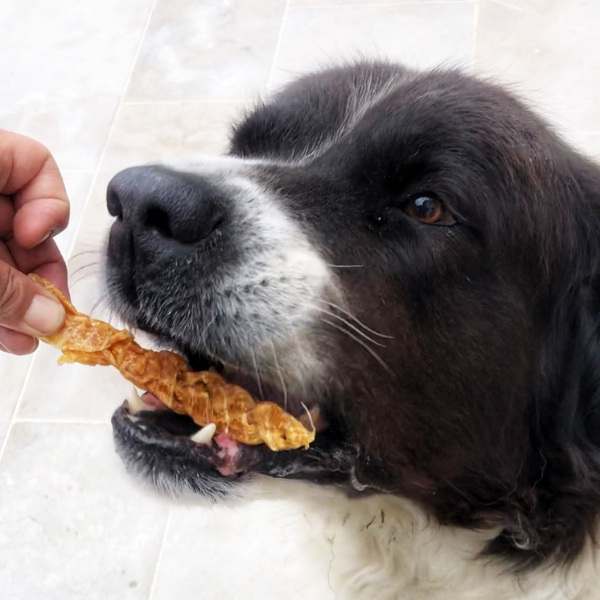 Tresses de poulet